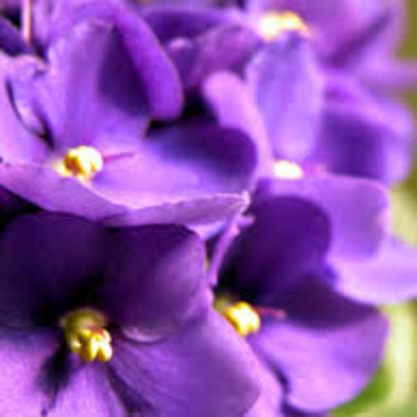 Taller_Radio_19_20_EI_Hermanas Mirabal