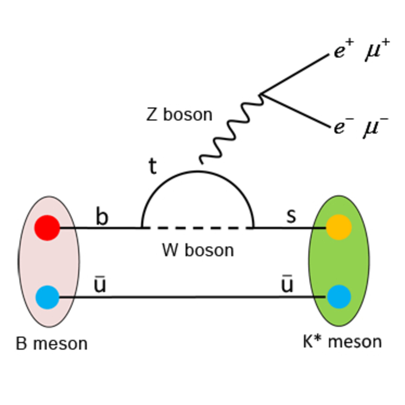 La Brújula de la Ciencia