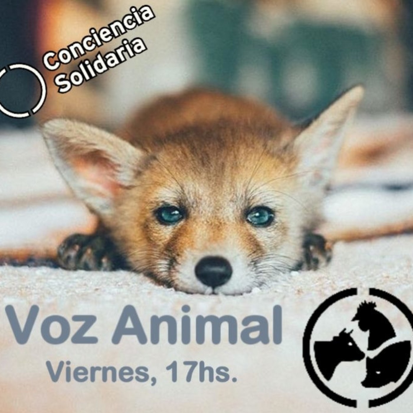 #VozAnimal 10.5.2019 #ConcienciaSolidariaONG #Córdoba episode artwork