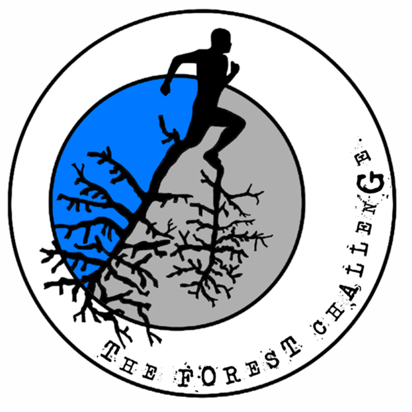 Entrevista sobre la Forest Challenge de Navas del Rey
