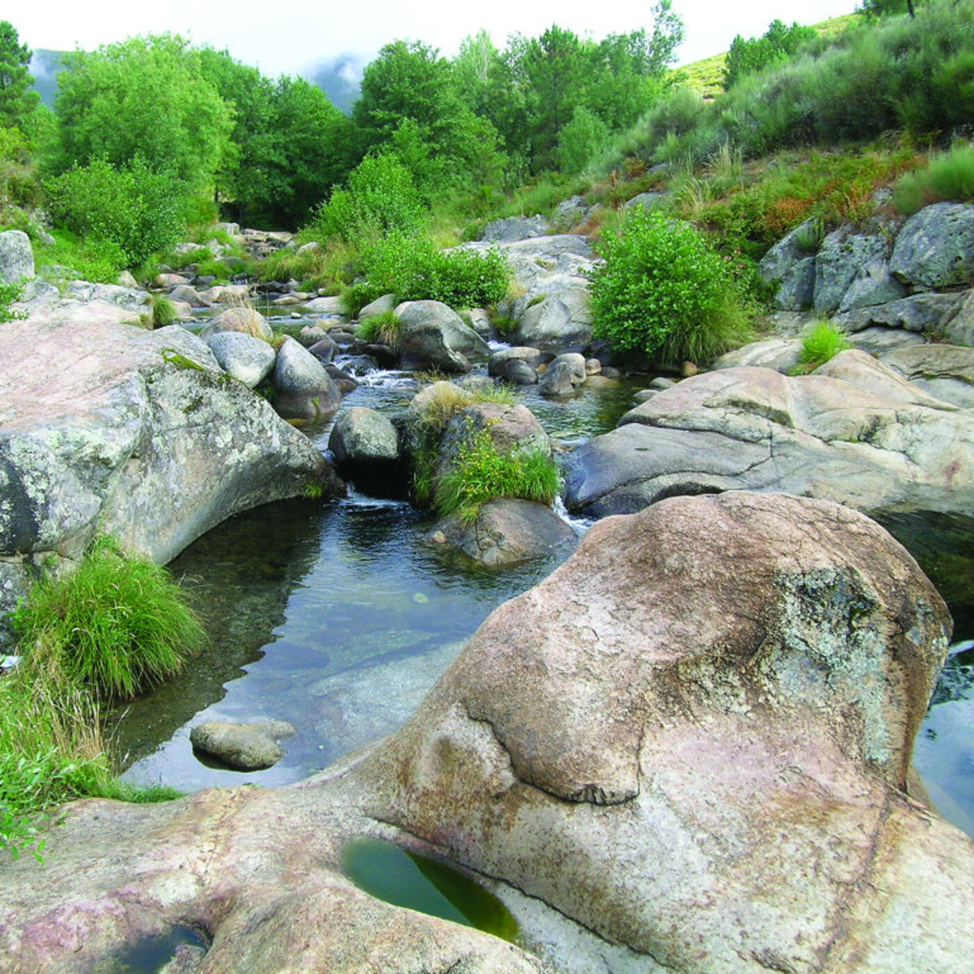 CAMINOS NATURALES