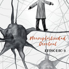 Neuroplasticidad Cerebral