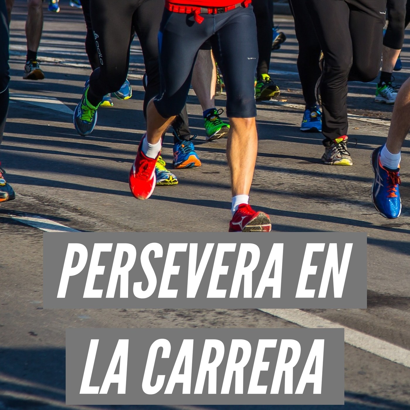 Pr. Patricia Alsina "Persevera en la carrera" episode artwork