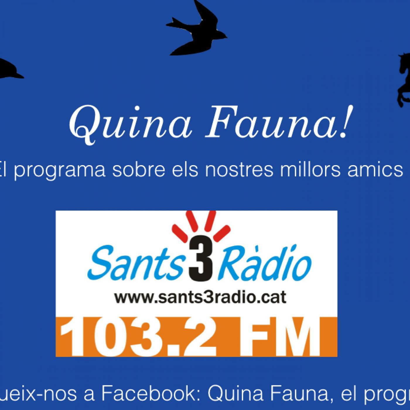 Quina Fauna