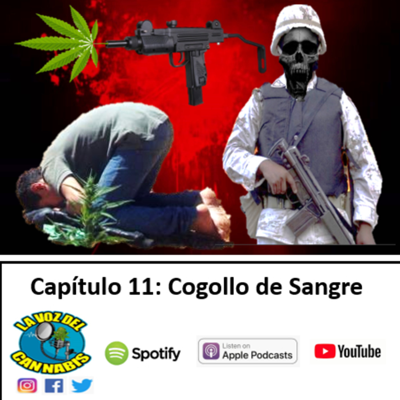 La Voz del Cannabis