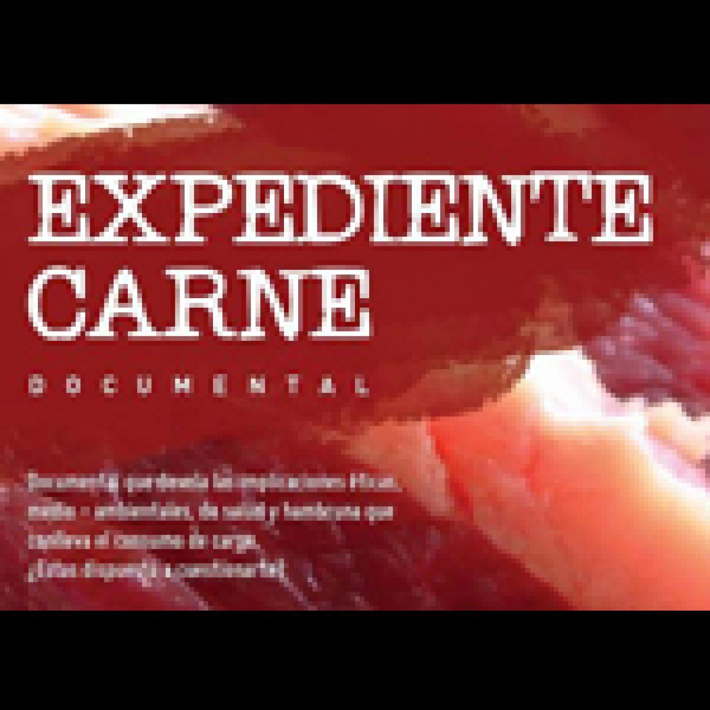 Podcast de FlacsoCine