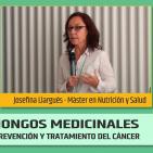 HONGOS MEDICINALES en la prevención y apoyo al tratamiento del cáncer - Josefina Llargués