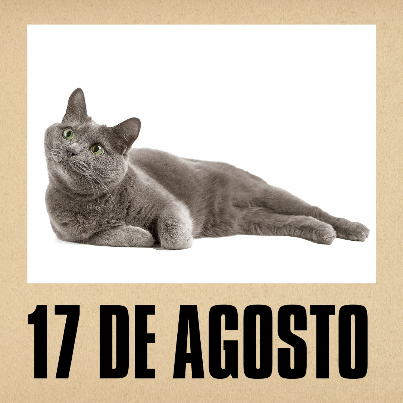 17 de Agosto // Gatos, Compact Disc y Pixar episode artwork
