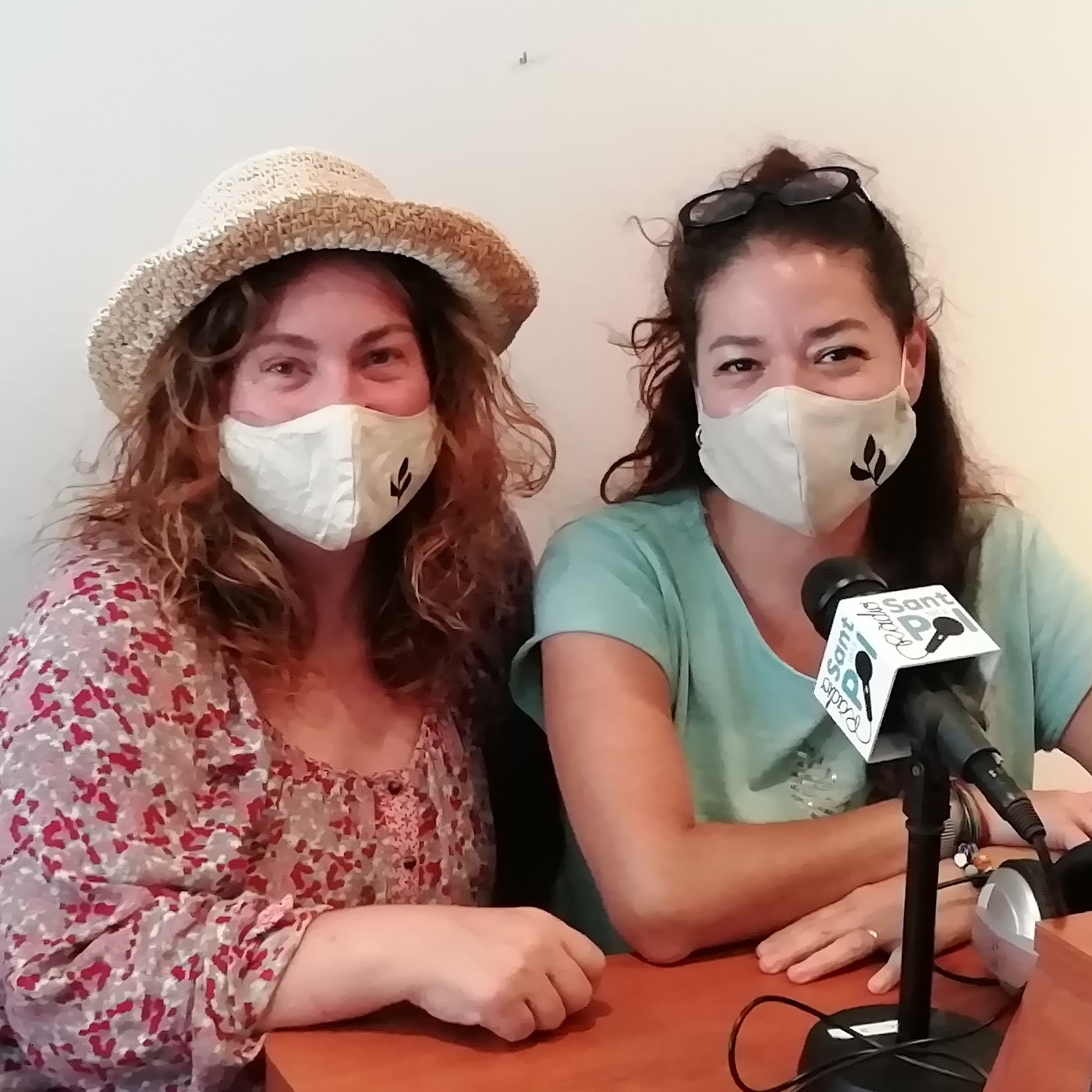 Entrevistes