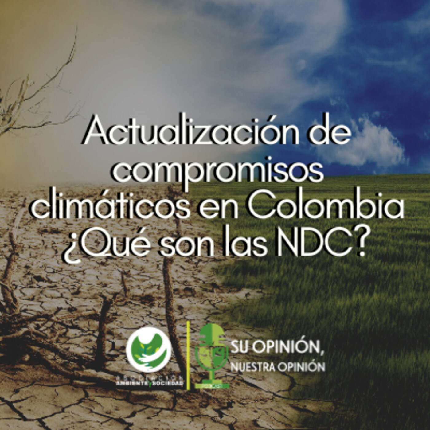 Asociación Ambiente y Sociedad