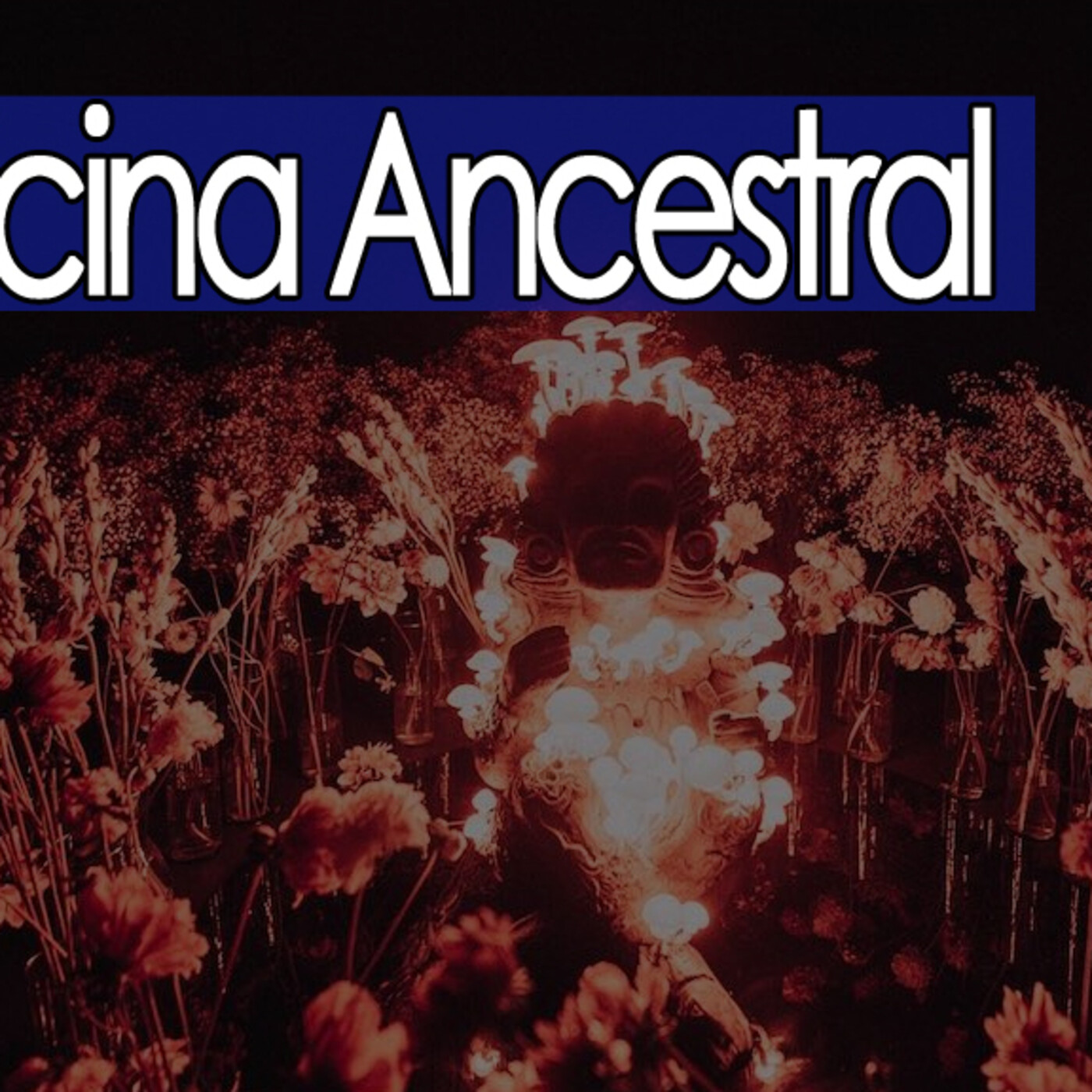 Misterio3 Medicina Ancestral episode artwork
