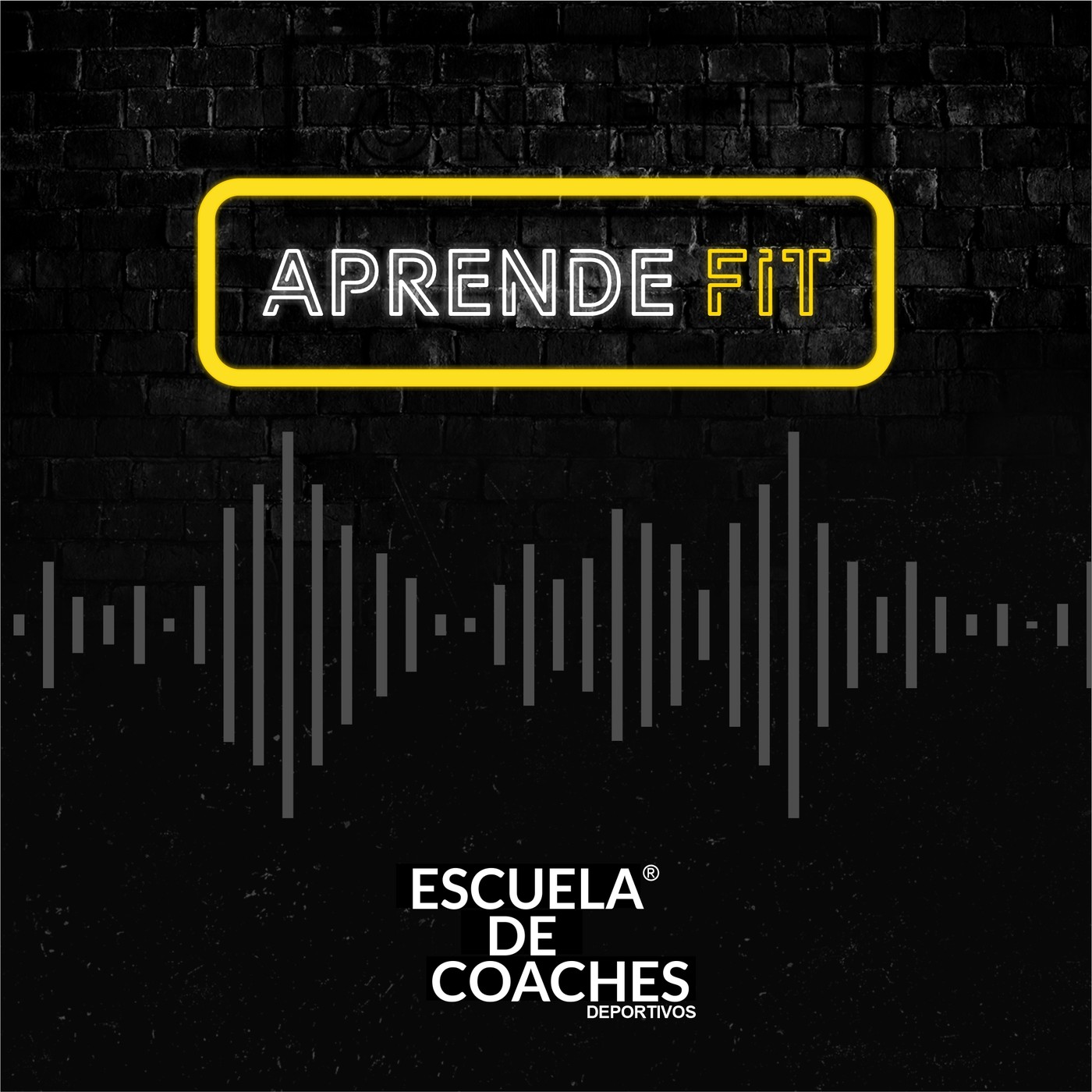 Aprende Fit - 1ra temporada