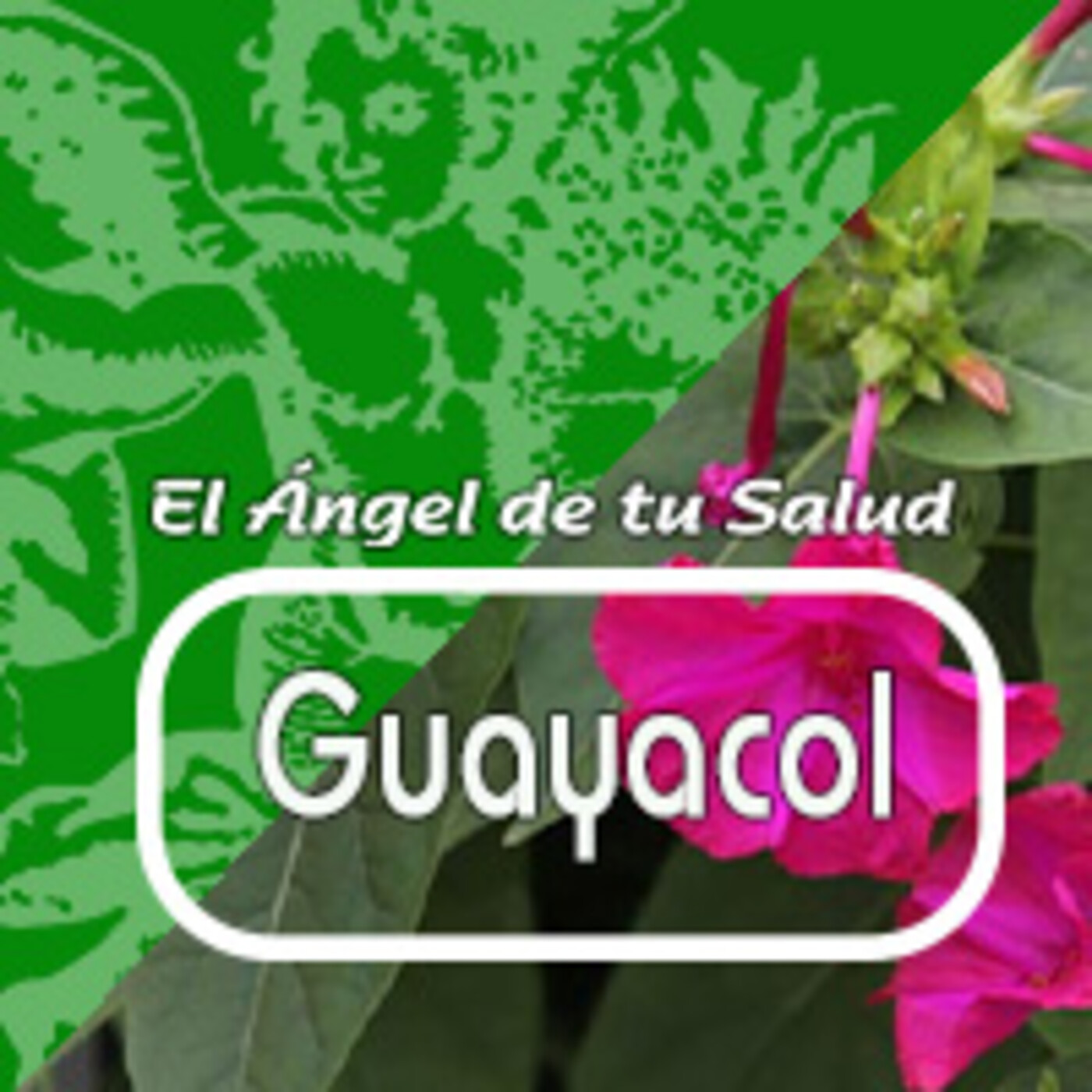 El Angel de tu Salud - GUAYACOL** episode artwork