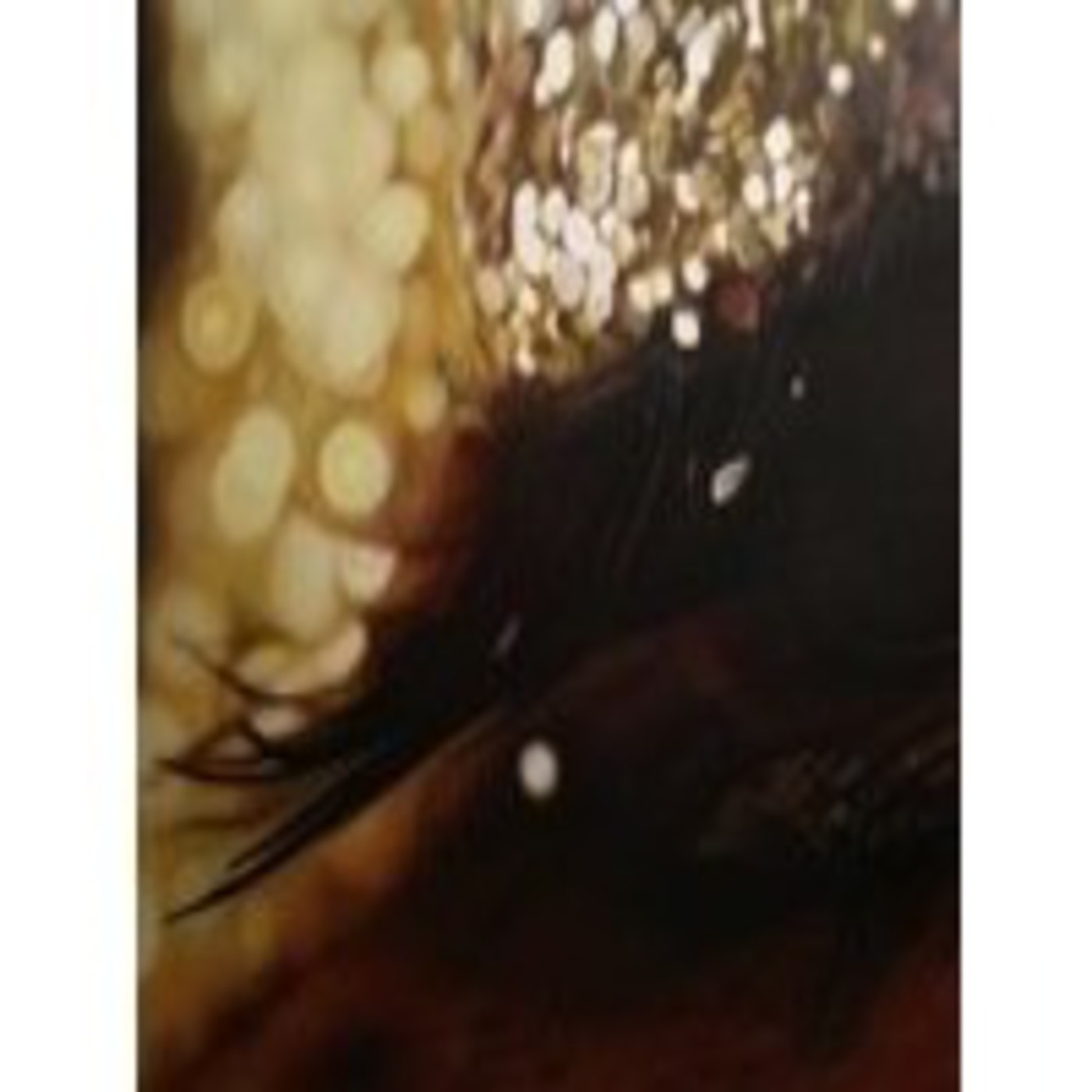 El Telescopio 247, con Memory Tapes, Slow Magic, Rodríguez, Allah-Las, Johnny Cash... episode artwork