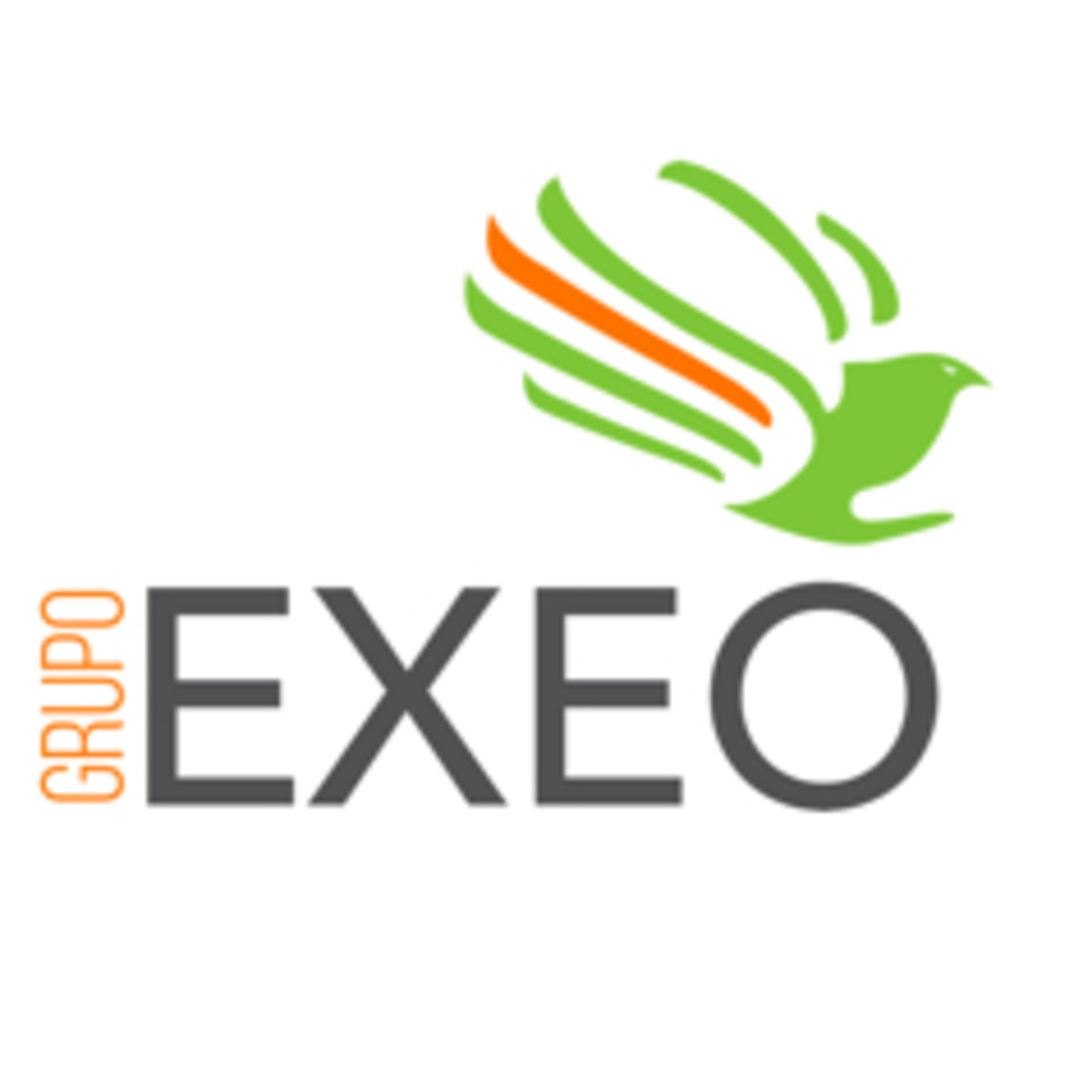 GRUPO EXEO