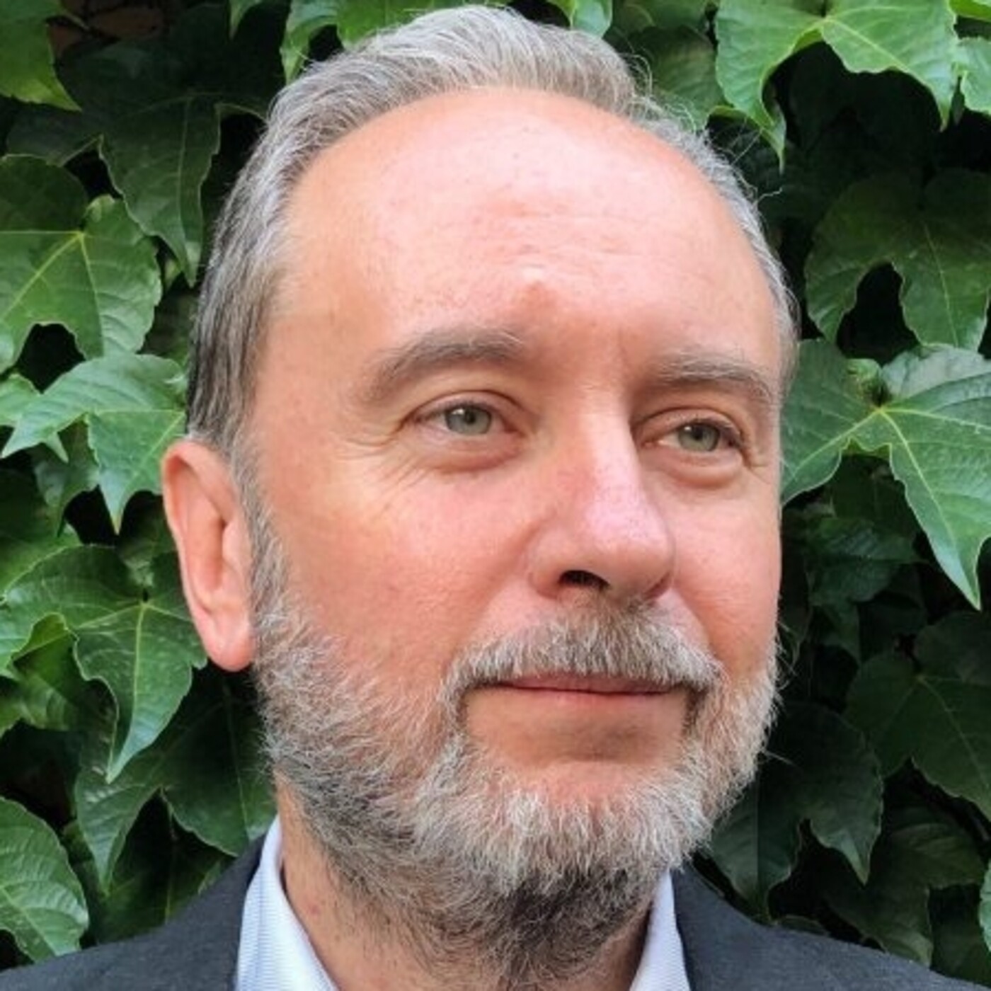 Hugo Brunetta