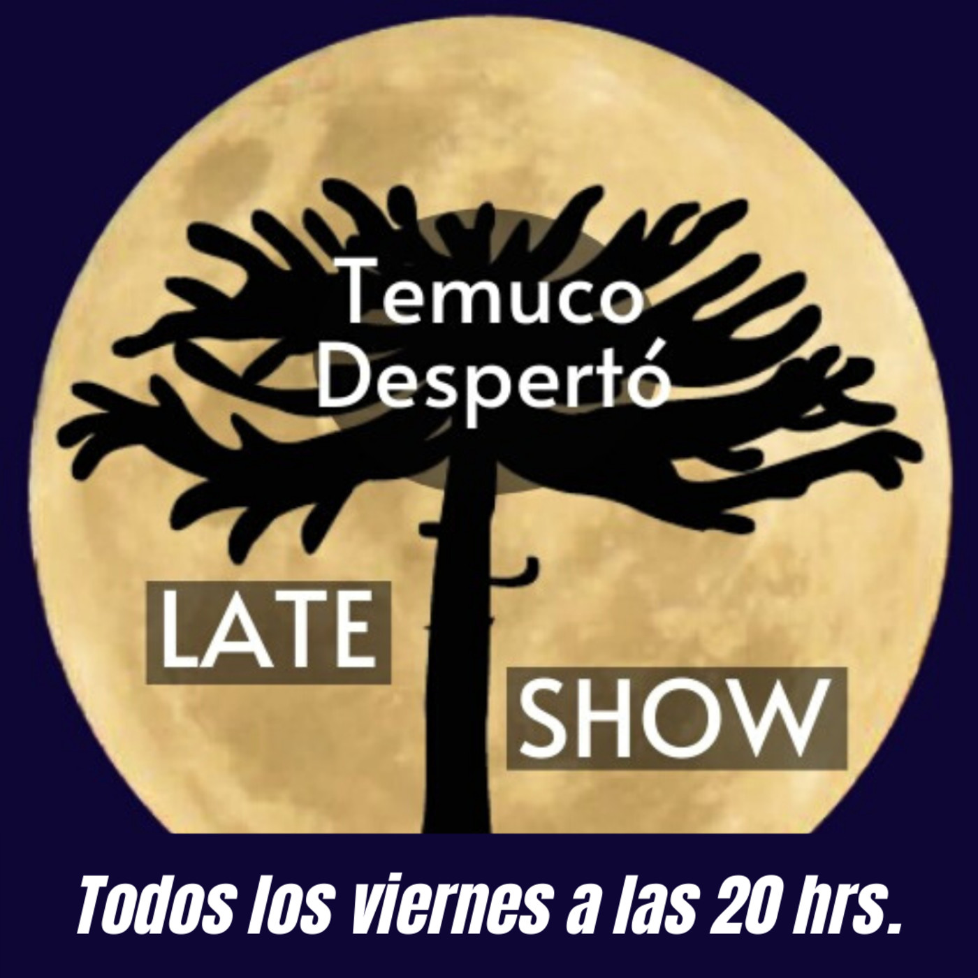 Temuco Despertó Late Show