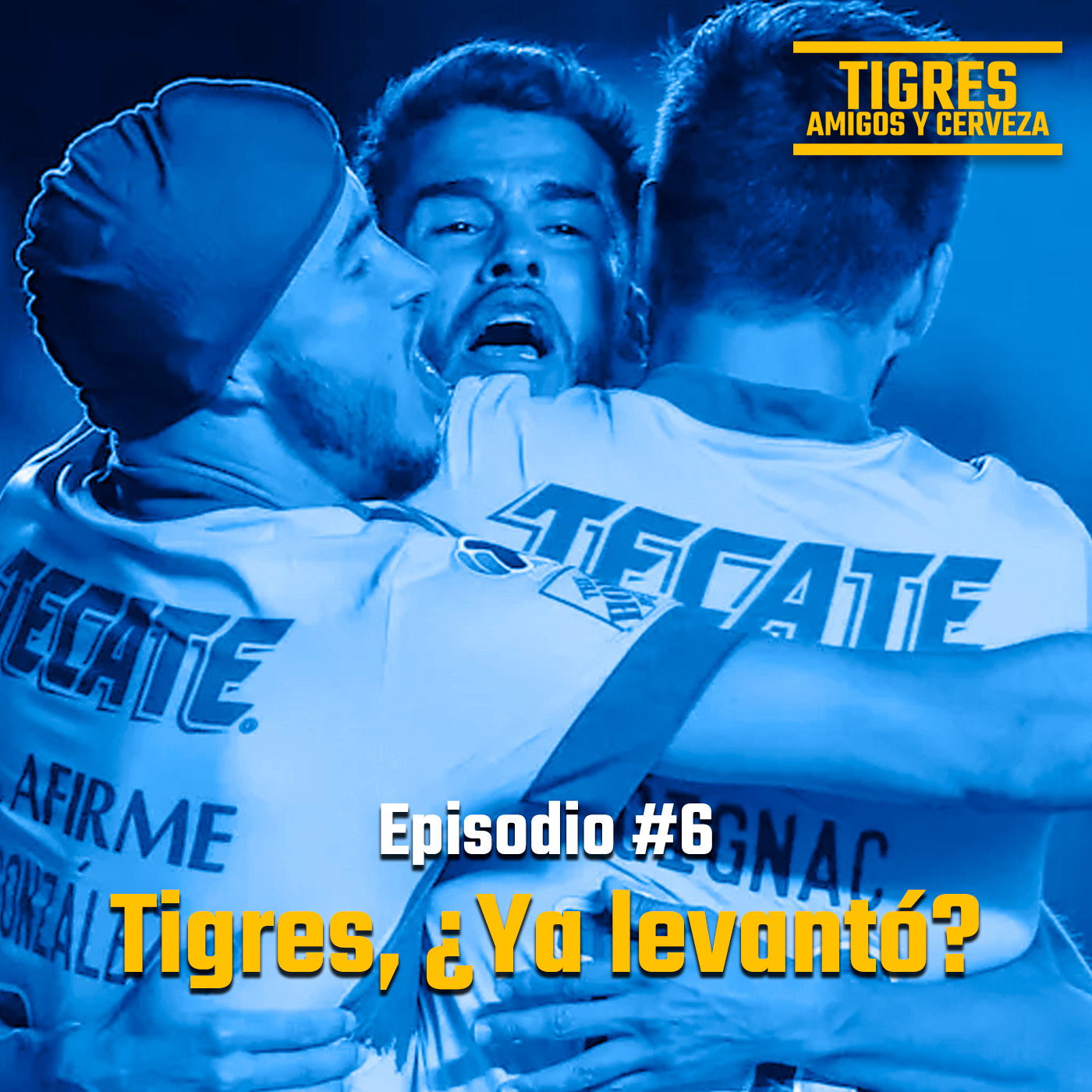 Tigres, Amigos y Cerveza
