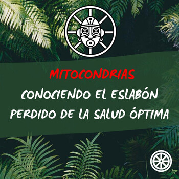 Mitocondrias - Conociendo el eslabón perdido de la salud óptima