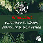 Mitocondrias - Conociendo el eslabón perdido de la salud óptima
