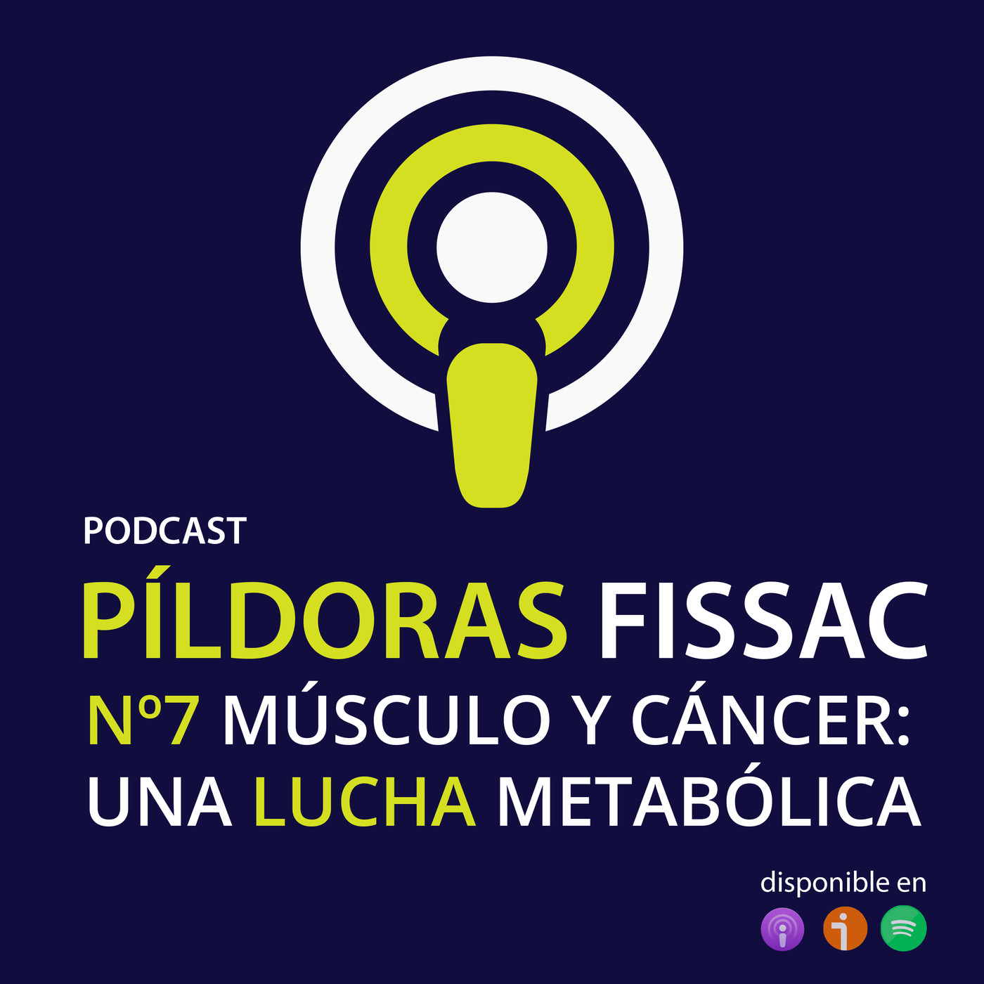 Píldora 7: Músculo y cáncer: una lucha metabólica