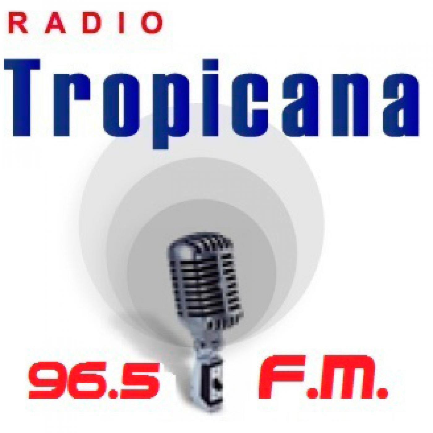 Guineo Guayas