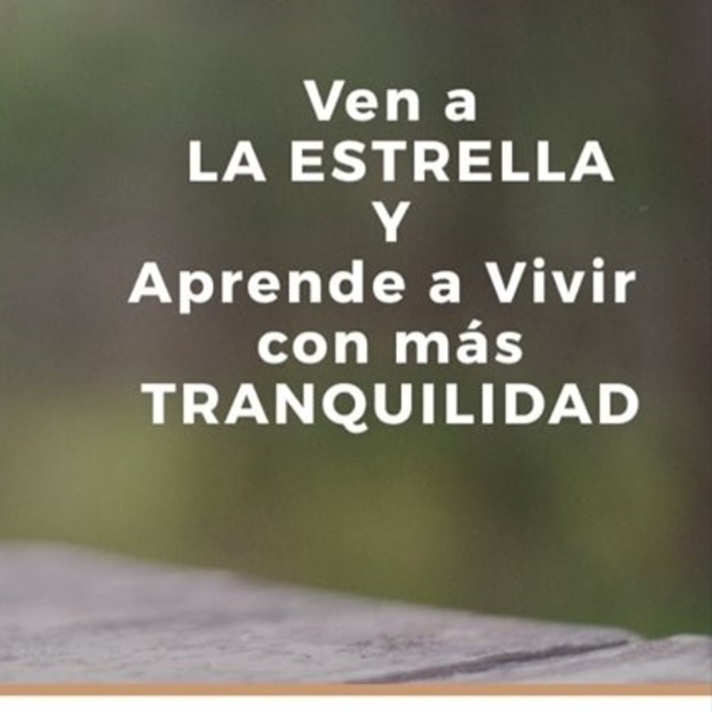 Mindfulness con Luz Navas Torres