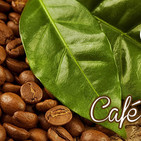 Nutribella - CAFÉ ORGÁNICO1