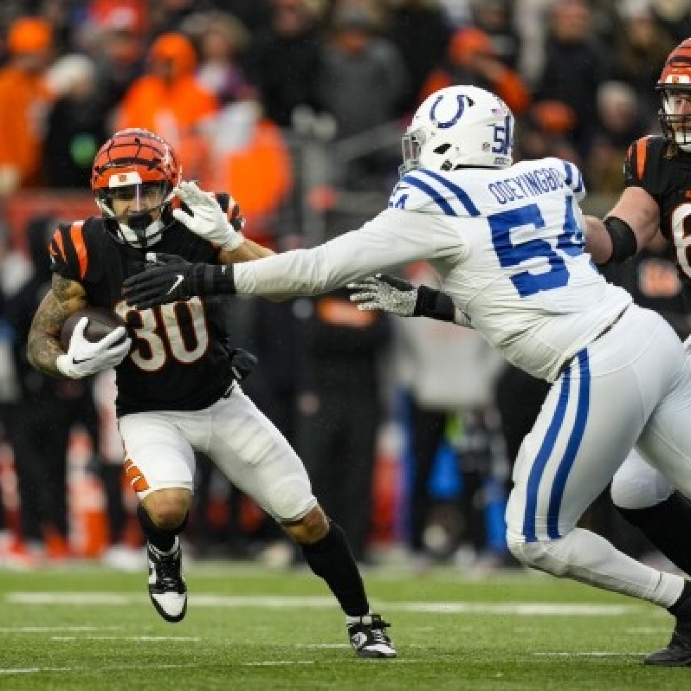 La Jungla Hispana - Bengals.es