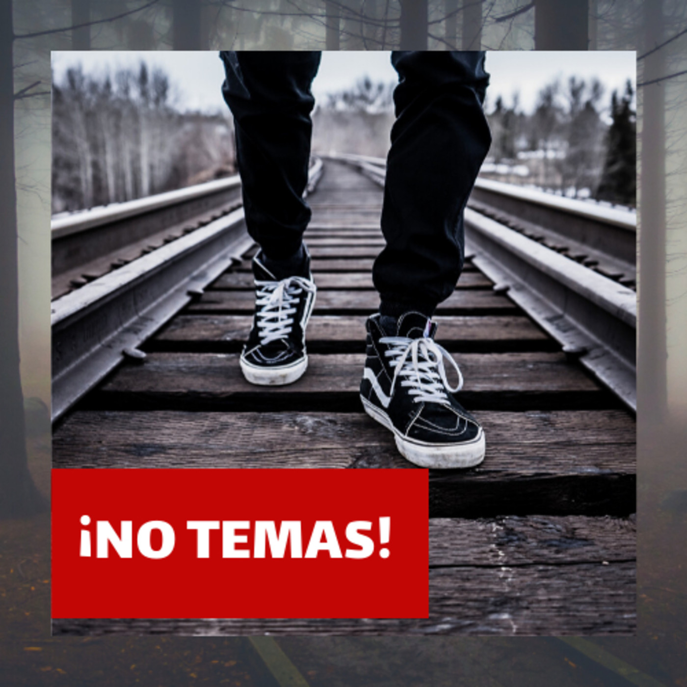 Predicaciones