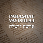 Parashat Vayishlaj - 2019