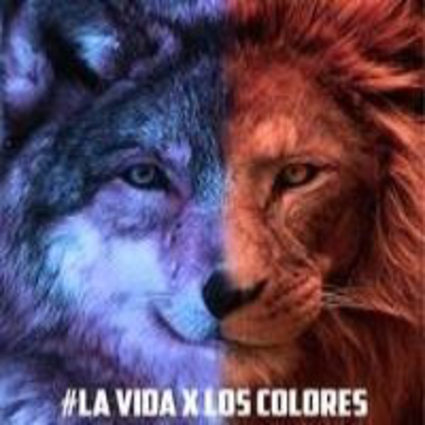 Podcast de La Vida X Los Colores