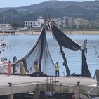 Pocas capturas de bocarte y el chicharro aparece cerca de la costa de Santoña/Miguel Fernández, patrón mayor 29/05/2020