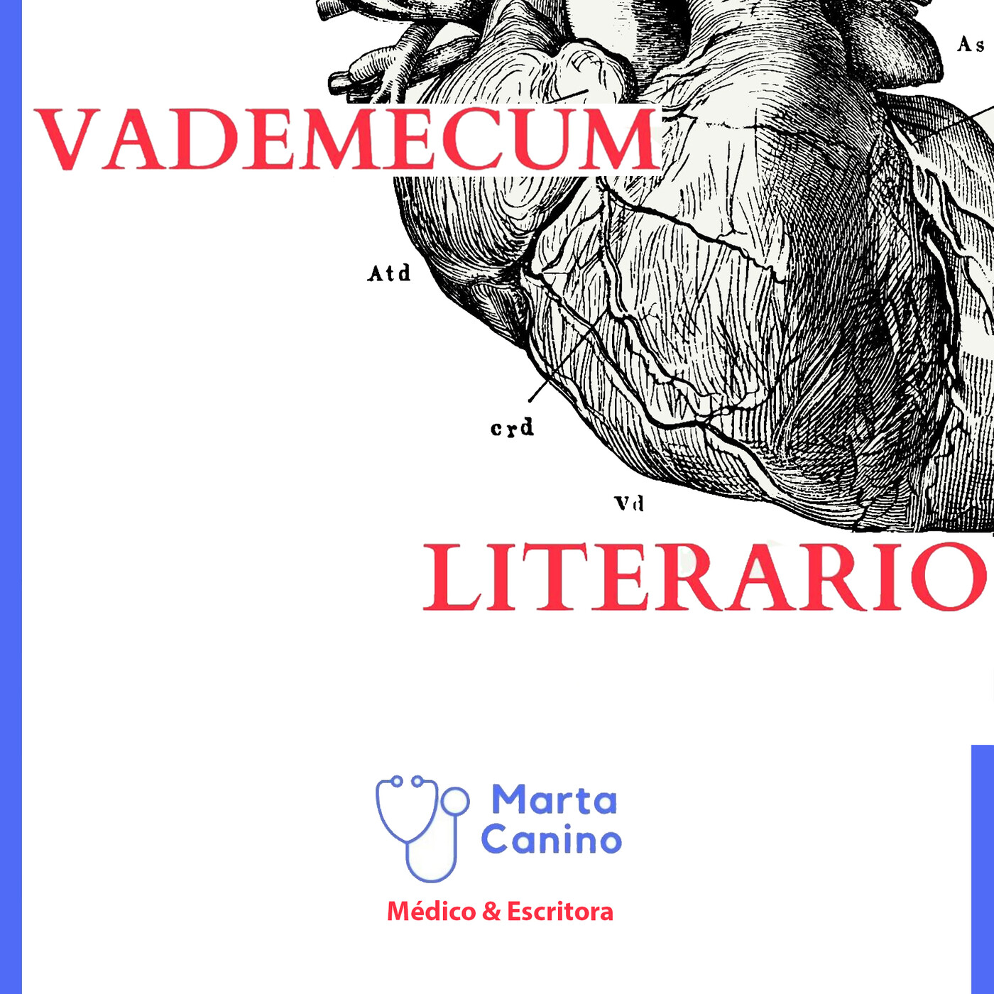 Vademecum literario