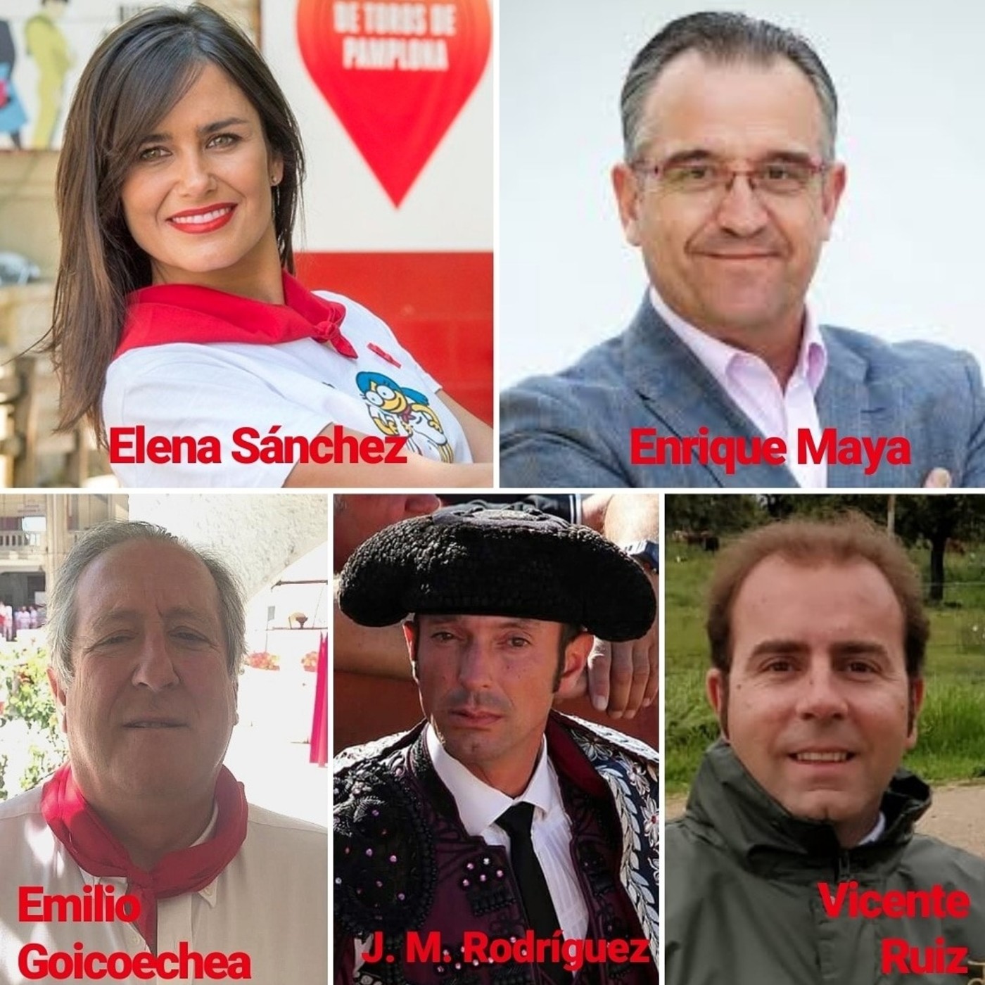 Vermús taurinos del Palacio Guendulain 2019