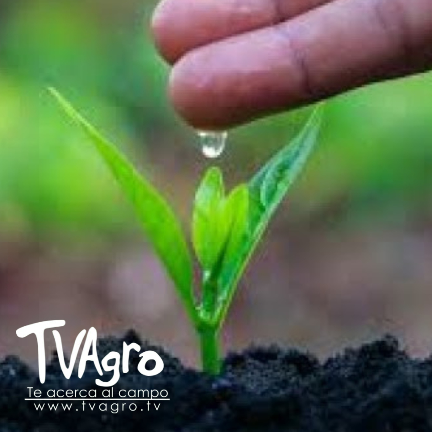 Con Licencia Ambiental I - TvAgro por Juan Gonzalo Angel — TV AGRO cover