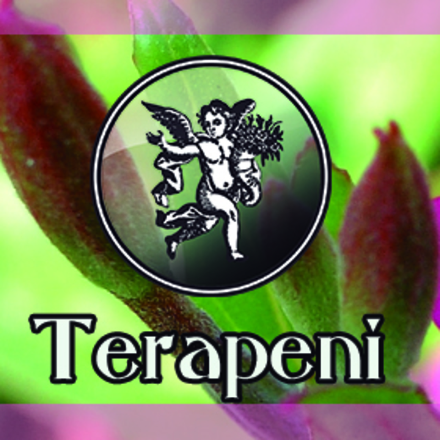 El Ángel de tu Salud - TERAPENI