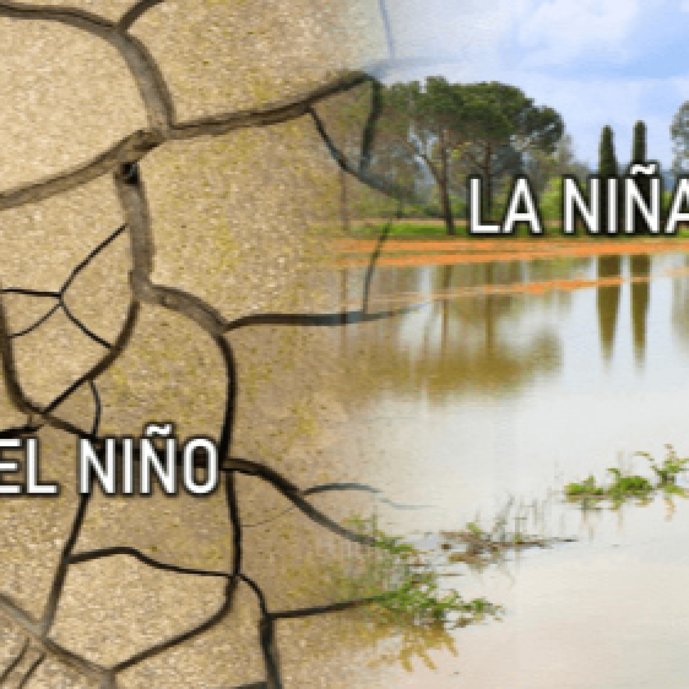 El Niño, un fenómeno meteorológico global con impacto en nuestro clima episode artwork