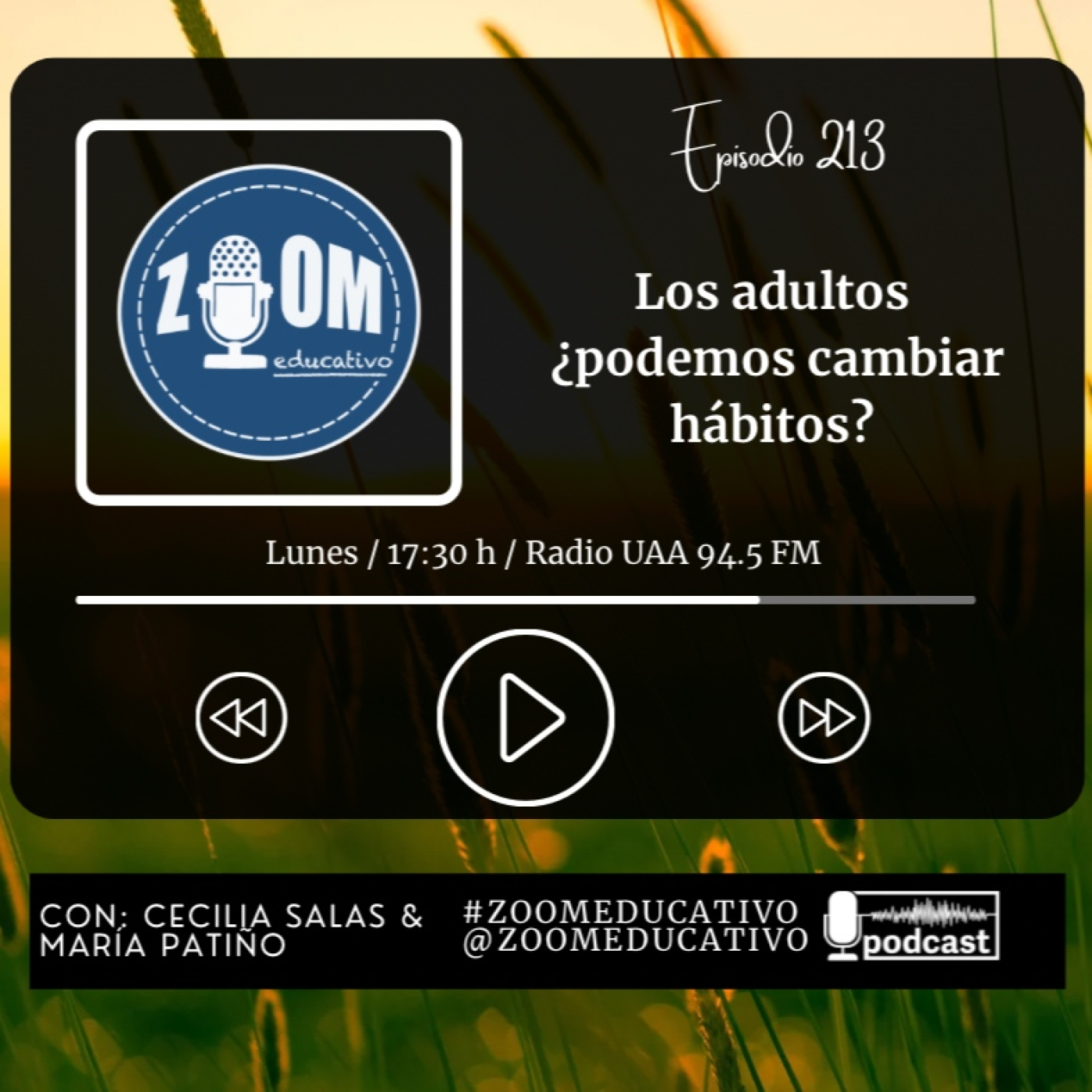 Ep 113 Los adultos ¿podemos cambiar hábitos?