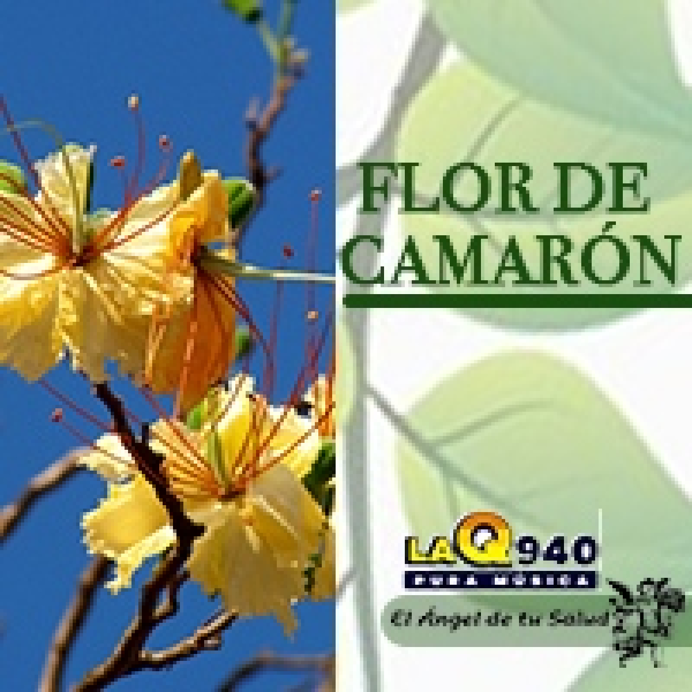 El Ángel de tu Salud - Flor de Camarón** episode artwork