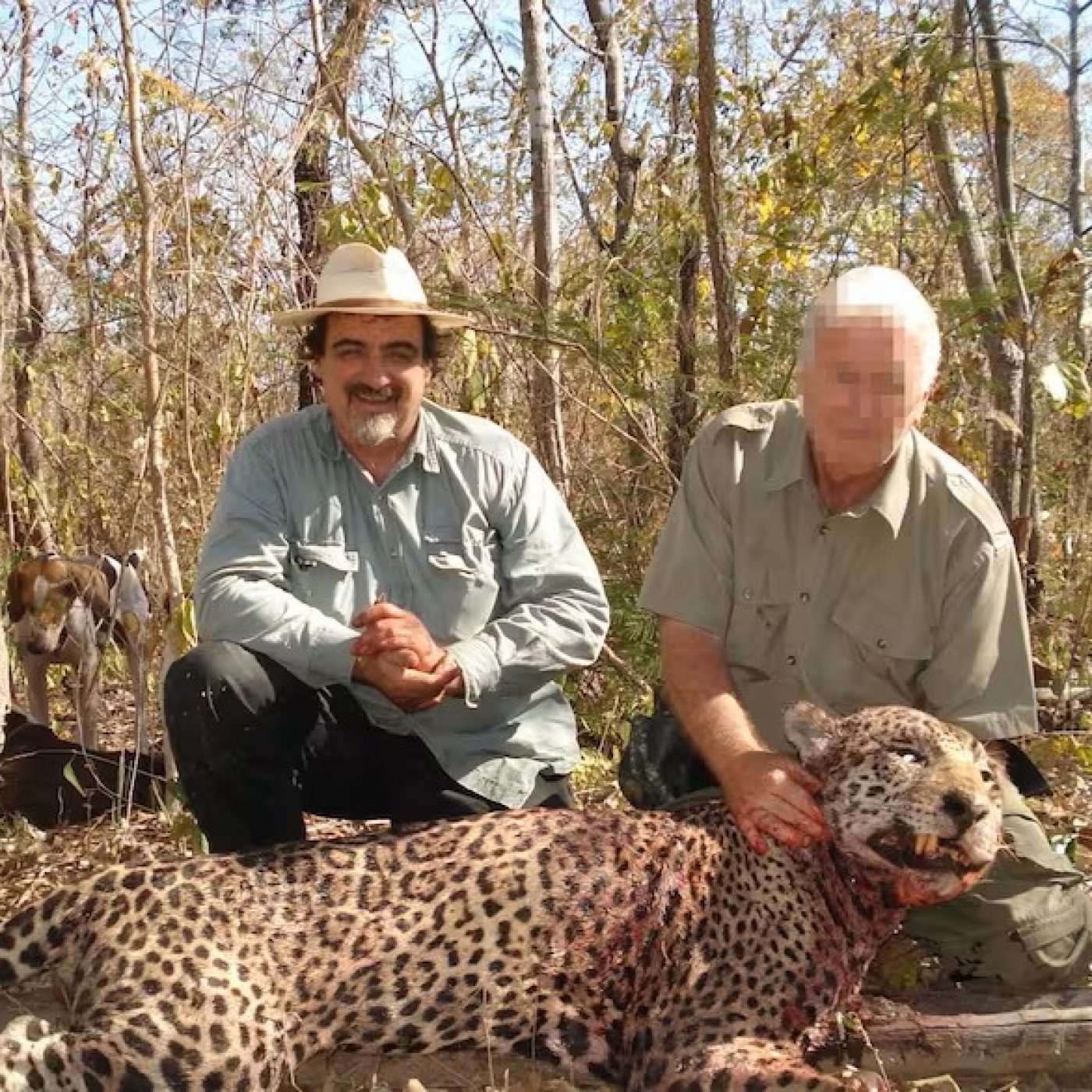 ESCÁNDALO NACIONAL: Cotos de caza permiten matar animales en extinción episode artwork