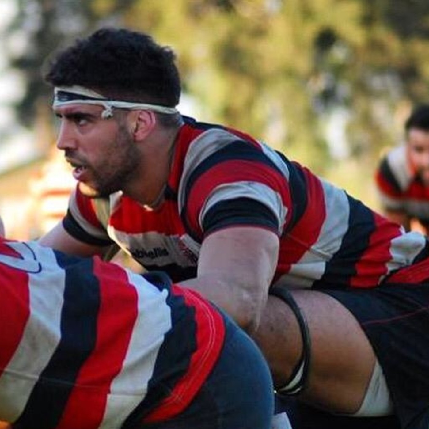 CulturaRugby