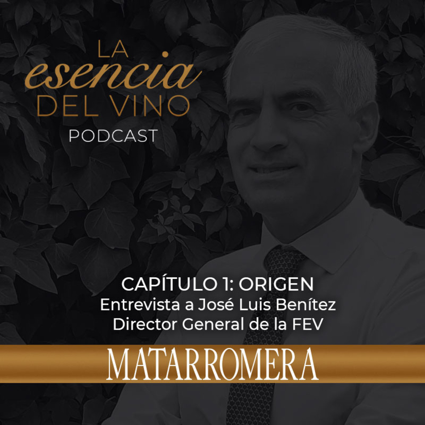 La Esencia del Vino - MATARROMERA