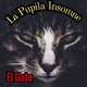 El gato