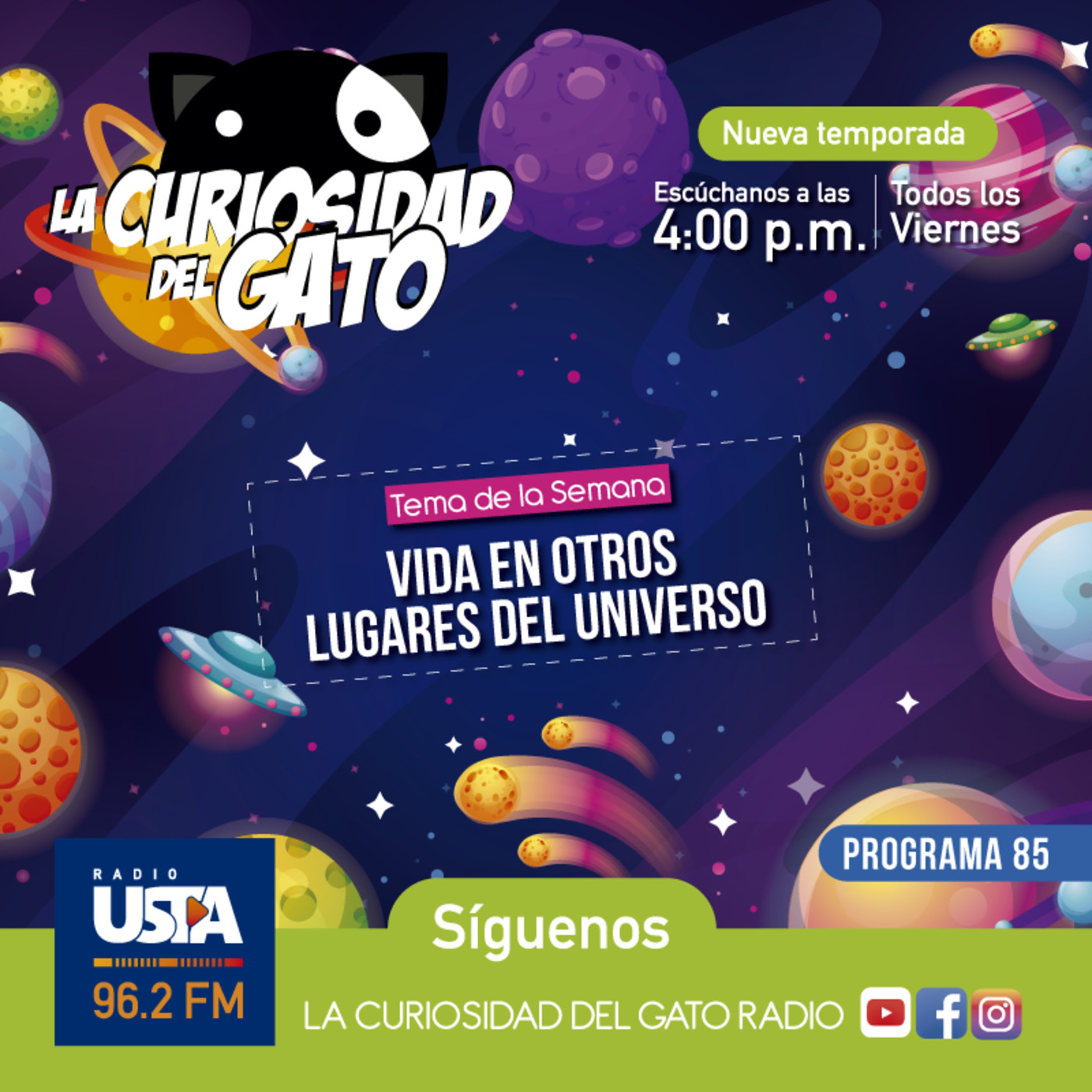 La Curiosidad del Gato