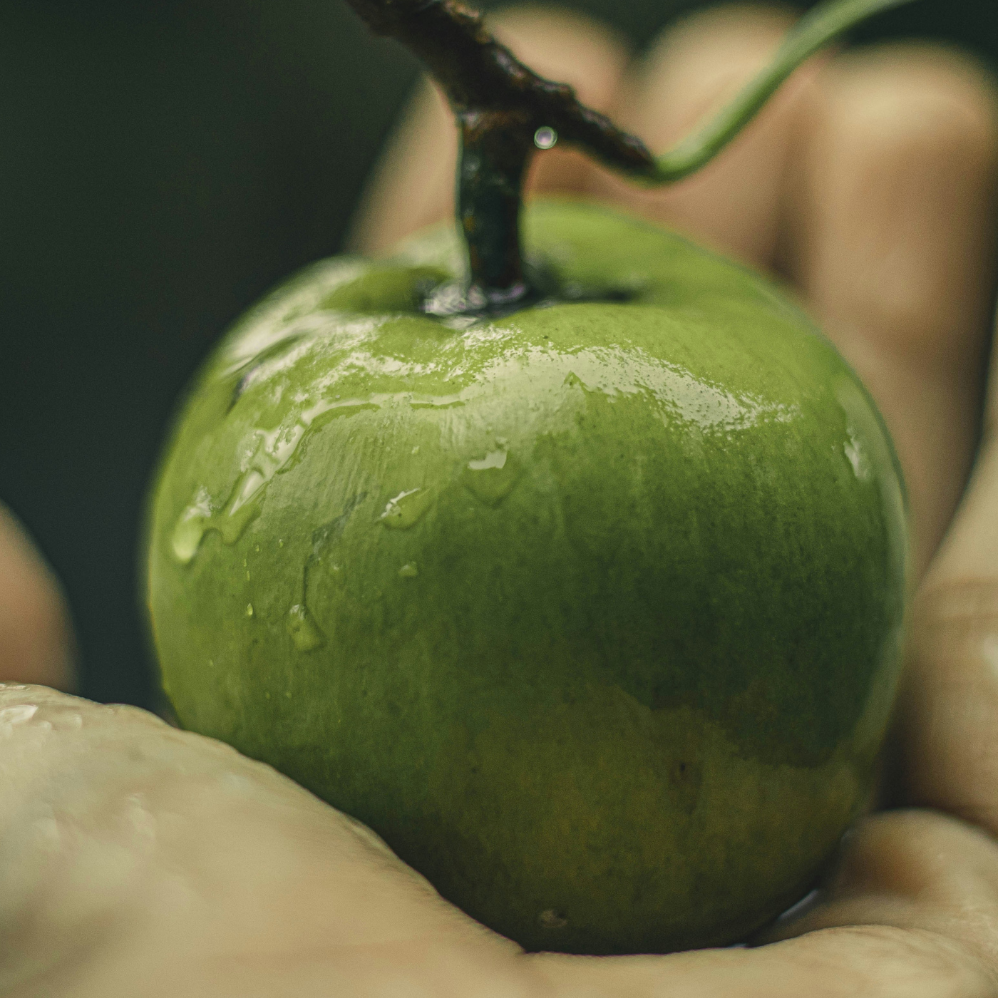 ¿Por qué eres tan inmaduro?