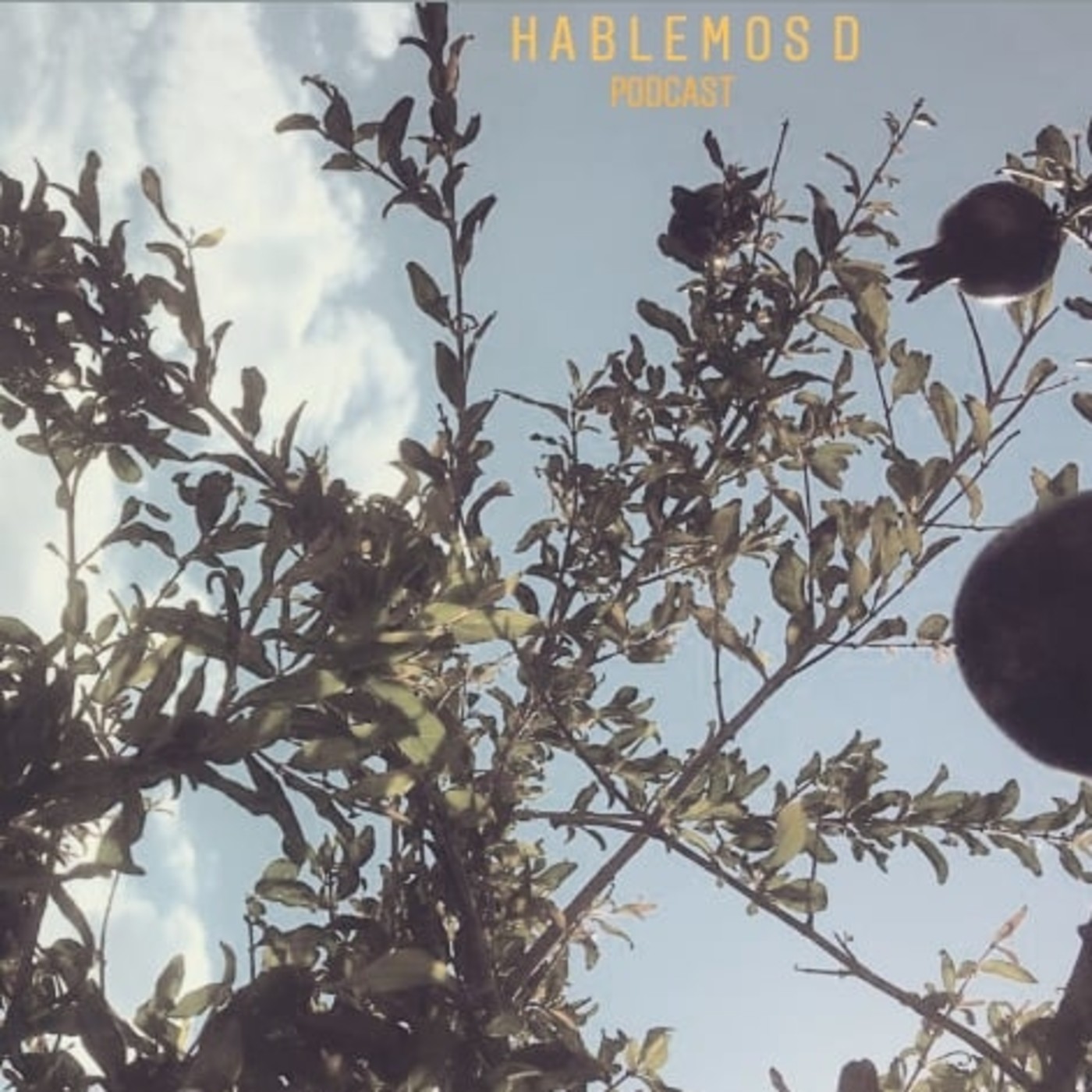 HablemosD