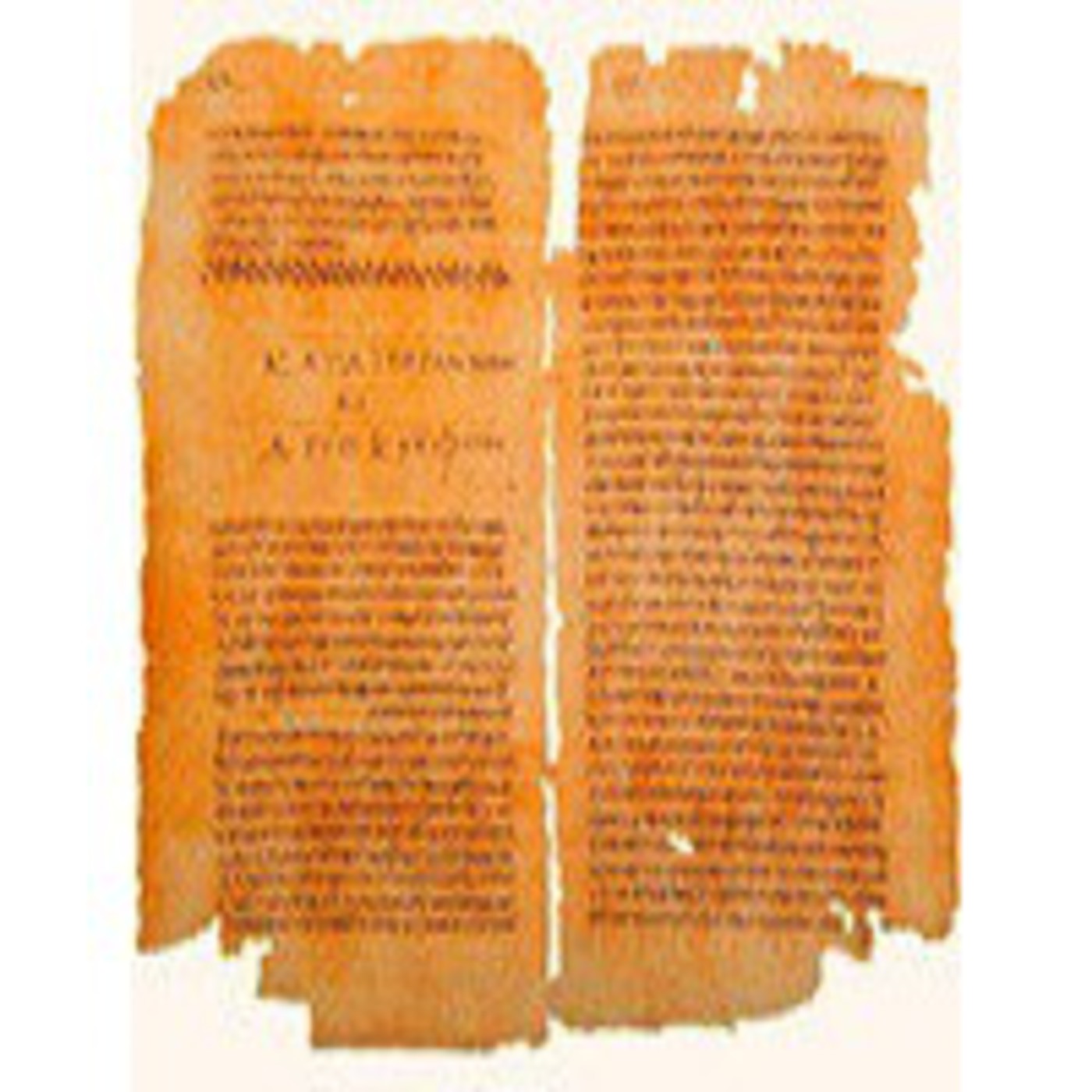 El árbol de la sabiduría