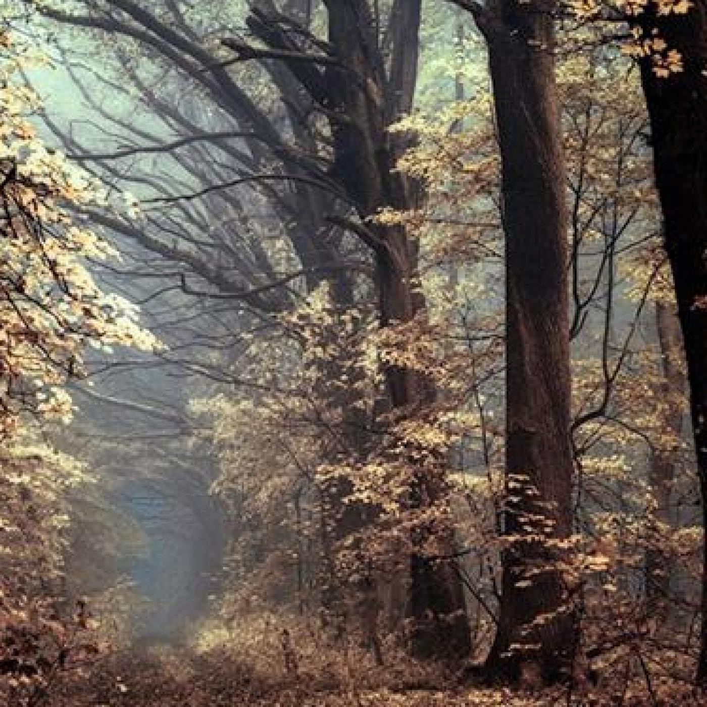 METAMORFOSIS CON DIOS de J. Híades (obra completa)