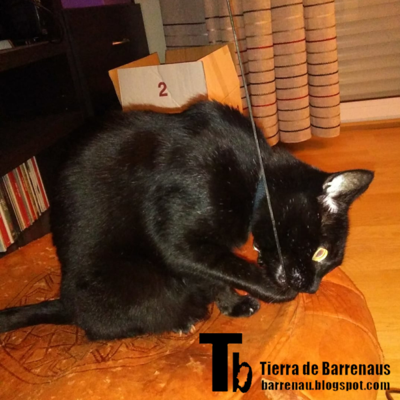 Tierra de varrenadas